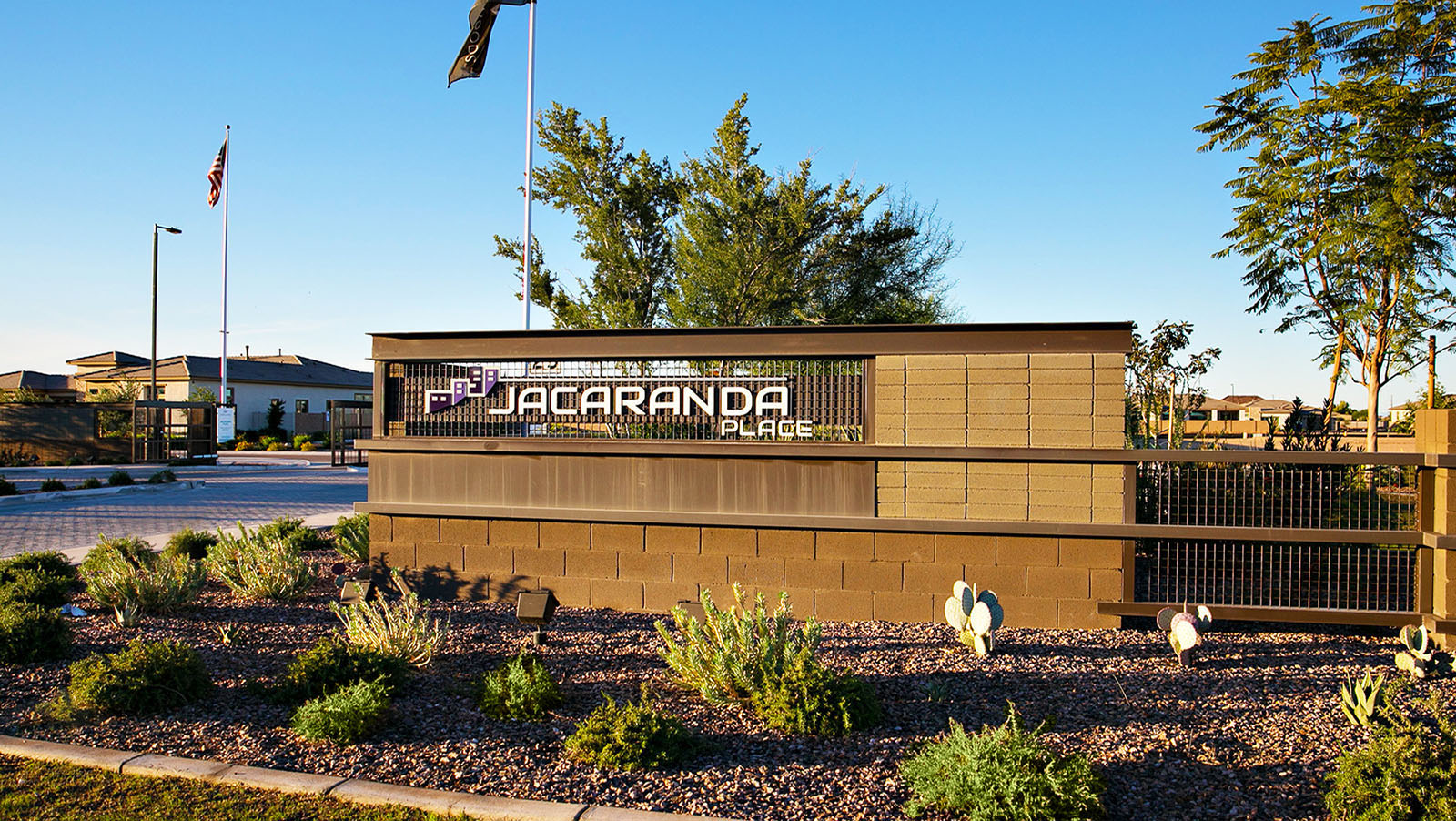 Website_Image_Jacaranda5.1
